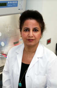 Headshot of Mojgan Rastegar