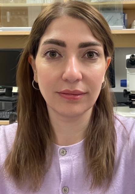 Headshot of Azam Asemi Rad